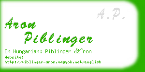 aron piblinger business card